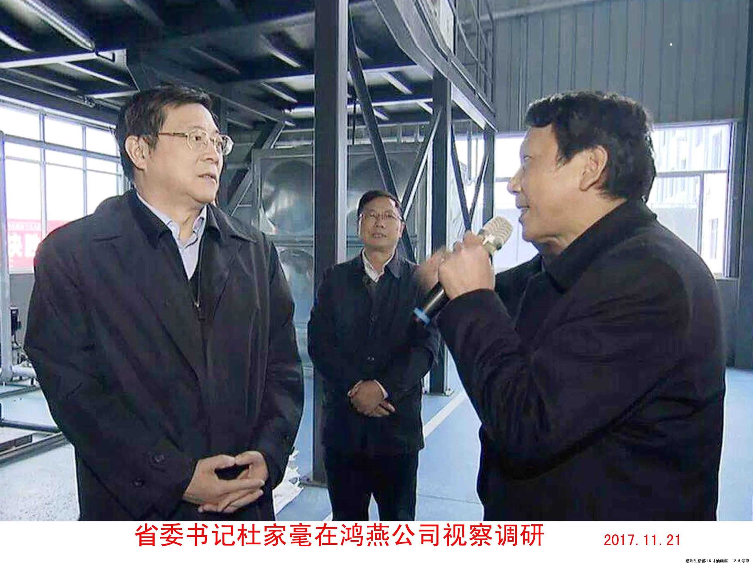 湖南省委书记杜家毫视察鸿燕新材料